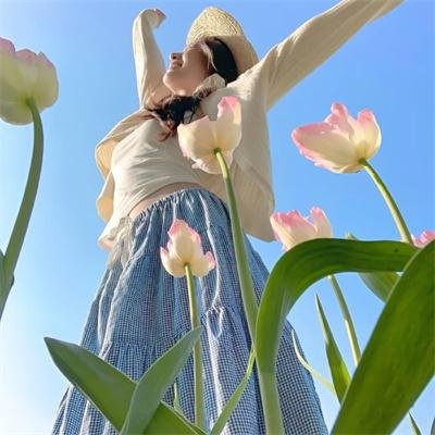 飞虎神鹰
